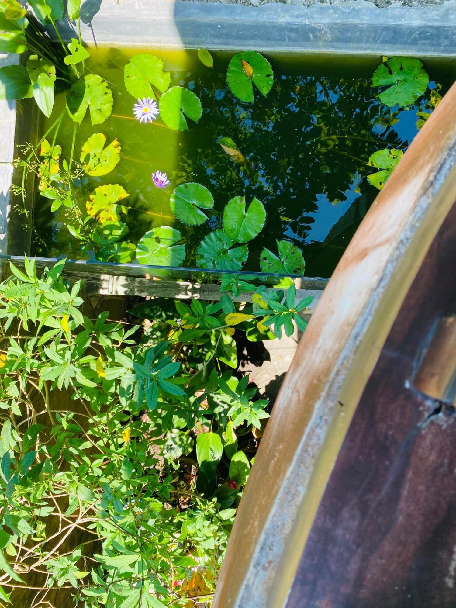 Villa Kabalana 57 Ahangama Εξωτερικό φωτογραφία